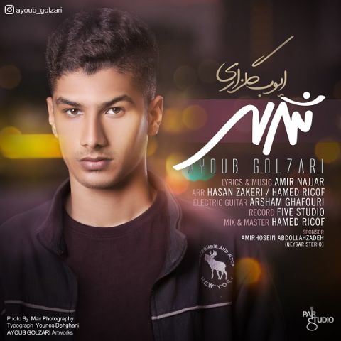 ایوب گلزاری شهر